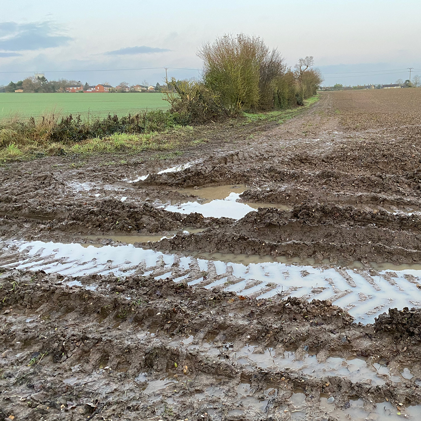 Stone Clearing With Richard Herring