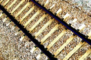 Train Tracks Train Tracks