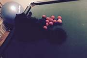 Richard Herring - Me1 versus Me2 Snooker