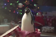 John Lewis penguin