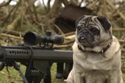 Sergeant Pugsley