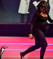 Claudia Winkleman chased by a penguin. Claudia Winkleman. Copyright: Big Talk Productions / Saltbeef TV