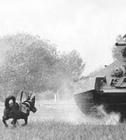 Dog bomb approaching a tank