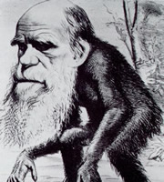 Charles Darwin as an ape