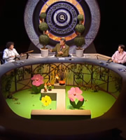 QI. Image shows from L to R: Alan Davies, Stephen Fry, Rob Brydon. Copyright: TalkbackThames