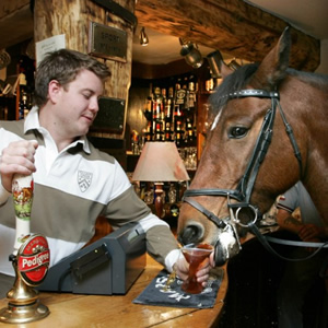 Generic picture of a horse in a bar