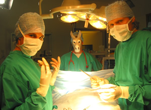 Green Wing. Image shows from L to R: Caroline Todd (Tamsin Greig), Guy Secretan (Stephen Mangan), Mac Macartney (Julian Rhind-Tutt). Copyright: Talkback Productions