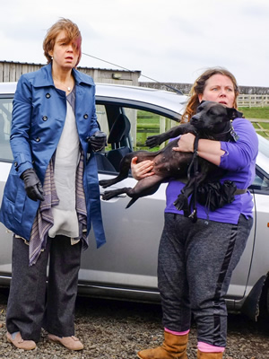 Puppy Love. Image shows from L to R: Naomi (Vicki Pepperdine), Nana V (Joanna Scanlan). Copyright: BBC / Woof Productions Puppy Love. Image shows from L to R: Naomi (Vicki Pepperdine), Nana V (Joanna Scanlan). Copyright: BBC / Woof Productions