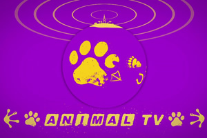 Animal TV