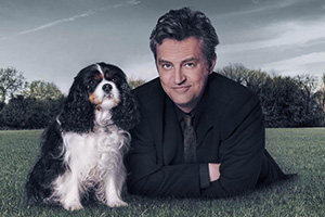 The Dog Thrower. The Charismatic Man (Matthew Perry). Copyright: Runaway Fridge