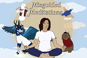 Misguided Meditations