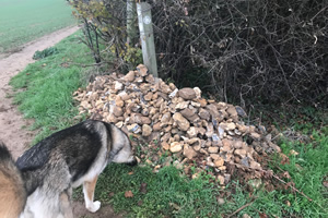 Stone Clearing with Richard Herring