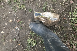 Stone Clearing with Richard Herring