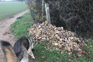 Stone Clearing with Richard Herring