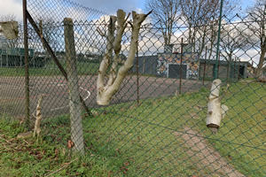 Stone Clearing with Richard Herring