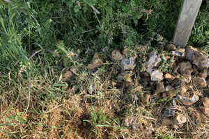 Stone Clearing with Richard Herring