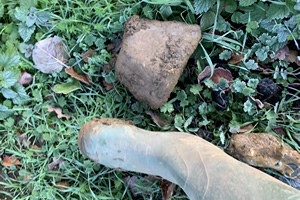 Stone Clearing with Richard Herring