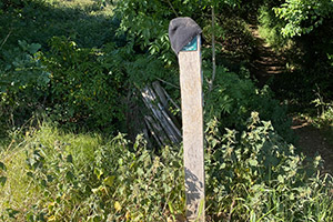 Stone Clearing with Richard Herring Chapter 64