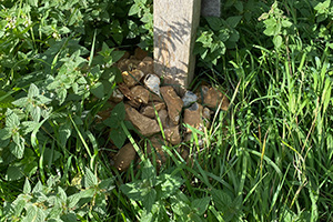 Stone Clearing with Richard Herring