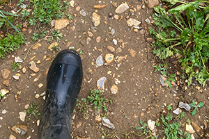 Stone Clearing with Richard Herring