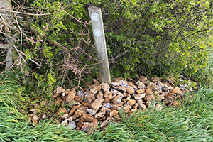 Stone Clearing with Richard Herring