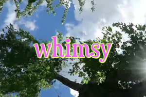 Whimsy