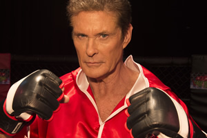 Hoff The Record. Hoff (David Hasselhoff). Copyright: Me & You Productions