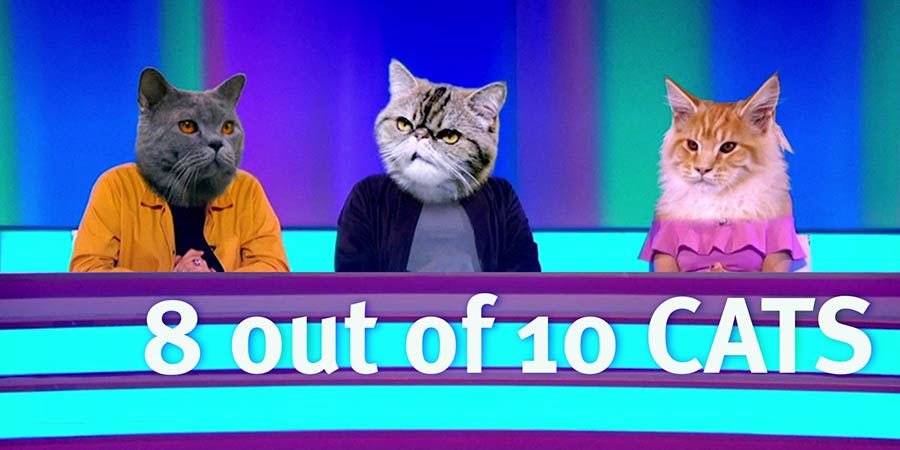 8 Out Of 10 Cats. Credit: Zeppotron