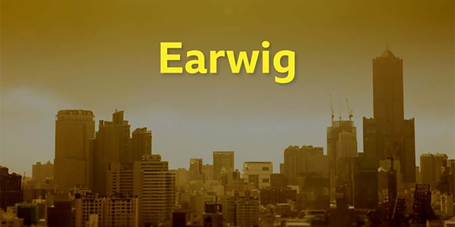 Earwig