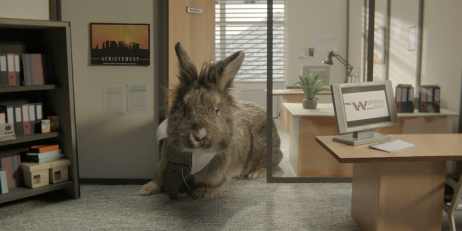 Easter on Gold rabbits - David Brent. Copyright: UKTV