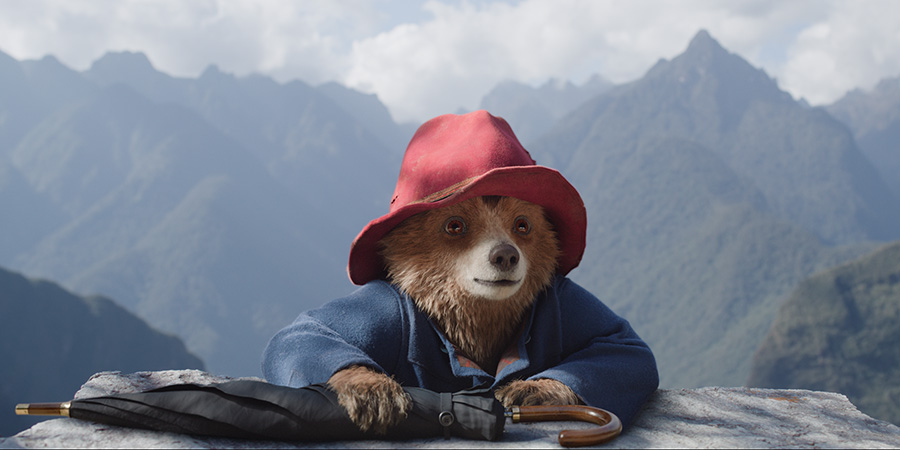 Paddington In Peru