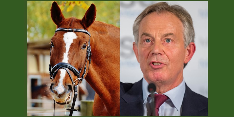 Tony Blair and a horse