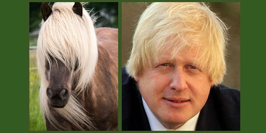 Boris Johnson and a horse