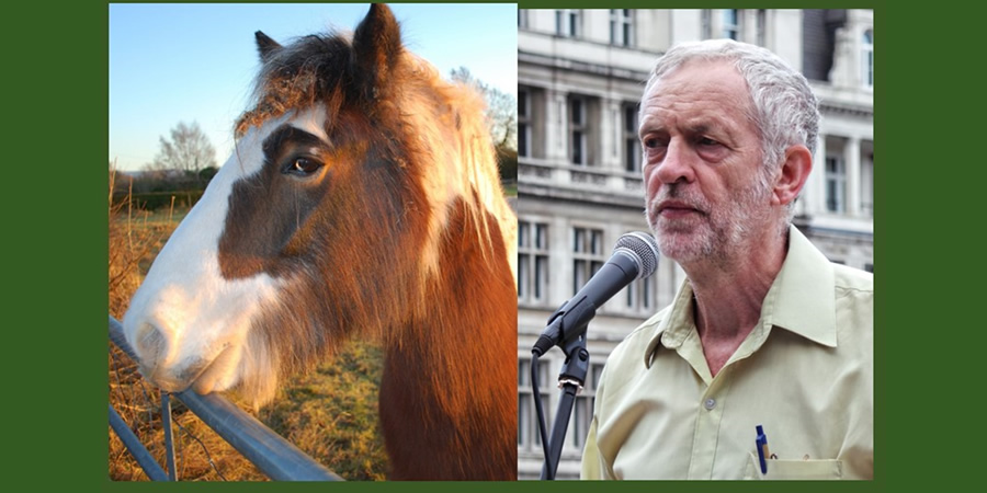 Jeremy Corbyn and a horse