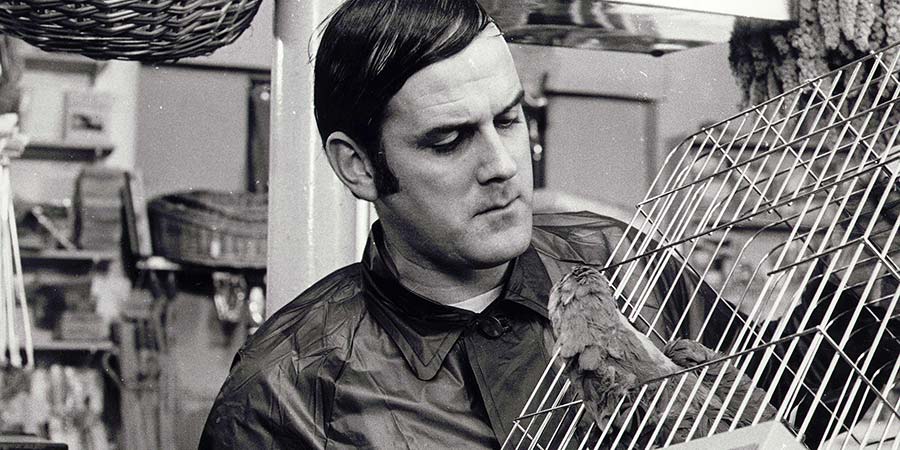 Comedy Legends. John Cleese. Copyright: 3DD