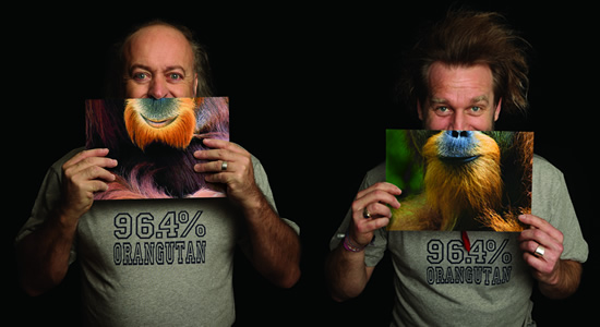 Image shows from L to R: Bill Bailey, Tony Law