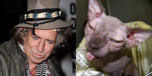 Keith Richards (obviously in his prime)