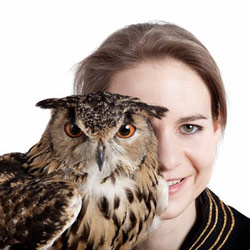 Laura Solon: The Owl of Steven. Laura Solon