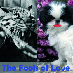 The Fools Of Love