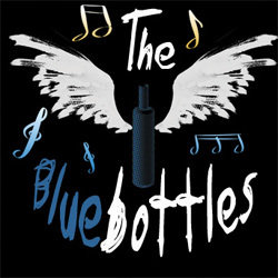 The Ride of the Bluebottles. Copyright: You, Me And Him