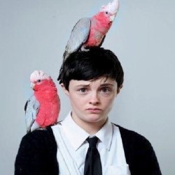 Demi Lardner: Birds with Human Lips. Demi Lardner. Copyright: Channel X