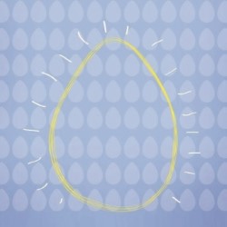 The Magic Egg