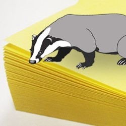 Kraftwerk Badger Spaceship