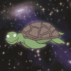 Michelle Brasier: Space Tortoise