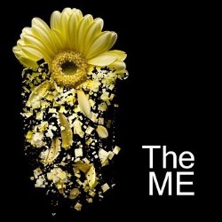 The ME