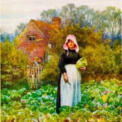 Lucy Pearman: Maid of Cabbage