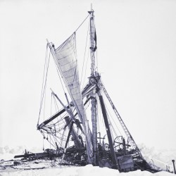 Shackleton's Stowaway