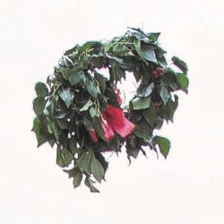 Simon Munnery: The Wreath