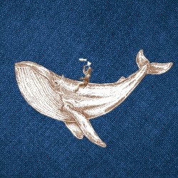 Ahab; Or What If Moby Dick Were Stand-up Comedy