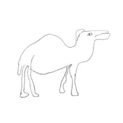 John Hegley's Drawings of Dromedaries (And Other creatures)